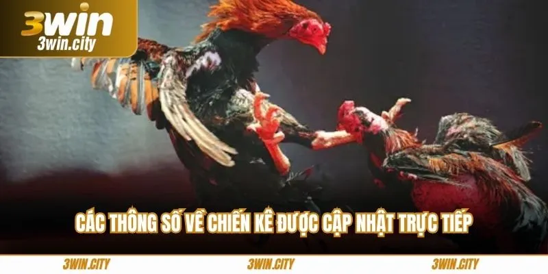 Các thông số về chiến kê được cập nhật trực tiếp