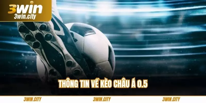 Thông tin về kèo châu Á 0.5